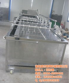 解凍機(jī),鹽水注射機(jī),洗筐機(jī),掛冰衣機(jī),果蔬清洗風(fēng)干線等優(yōu)惠價(jià)格