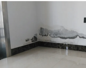 花都周邊專業(yè)防水補(bǔ)漏服務(wù) 全面解決廁所漏水、窗臺滲水與衛(wèi)生間維修難題