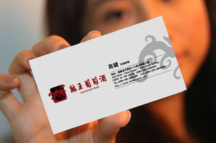 以設(shè)計(jì)賦能品牌價(jià)值 達(dá)獅雄集團(tuán)旗下翰王酒業(yè)的品牌形象識(shí)別策劃與咨詢